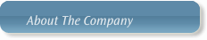 About The Company