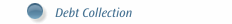 Debt Collection