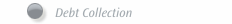 Debt Collection
